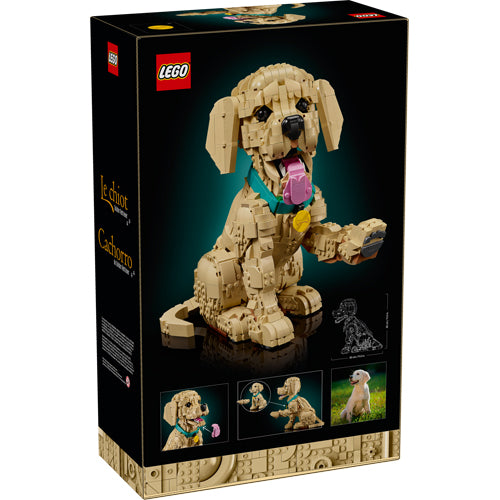 The LEGO® Group Icons Golden Retriever Puppy Building Set 11384