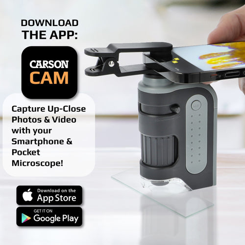 Carson Optical MicroBrite Plus