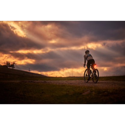 Garmin Varia™ RearVue 820