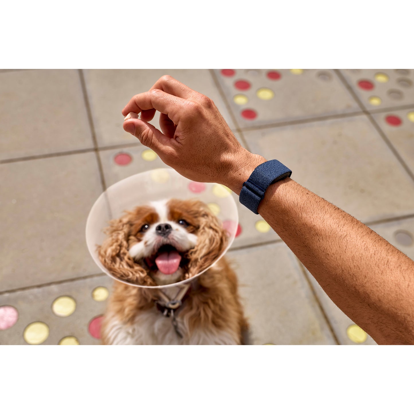 Garmin CIRQA™ Smart Band