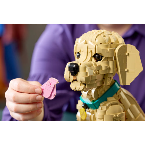 The LEGO® Group Icons Golden Retriever Puppy Building Set 11384