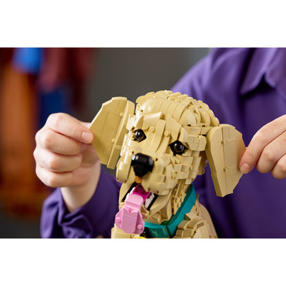 The LEGO® Group Icons Golden Retriever Puppy Building Set 11384