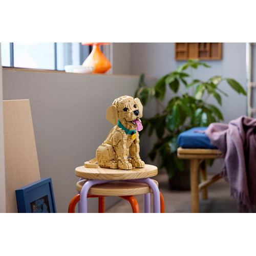 The LEGO® Group Icons Golden Retriever Puppy Building Set 11384