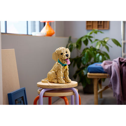 The LEGO® Group Icons Golden Retriever Puppy Building Set 11384