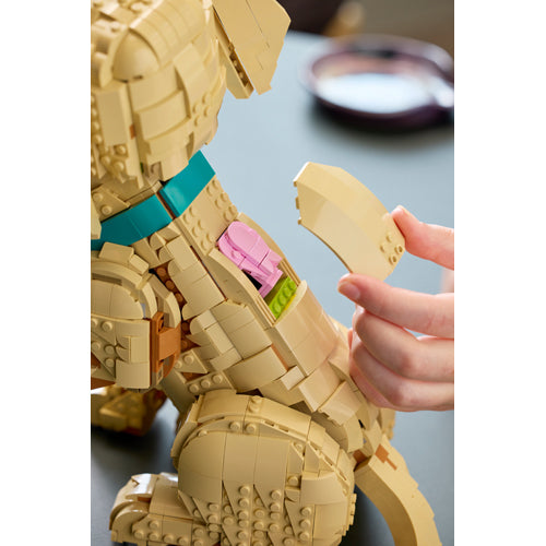 The LEGO® Group Icons Golden Retriever Puppy Building Set 11384