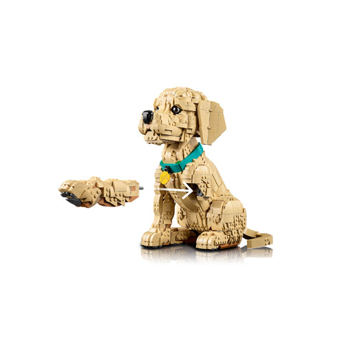 The LEGO® Group Icons Golden Retriever Puppy Building Set 11384