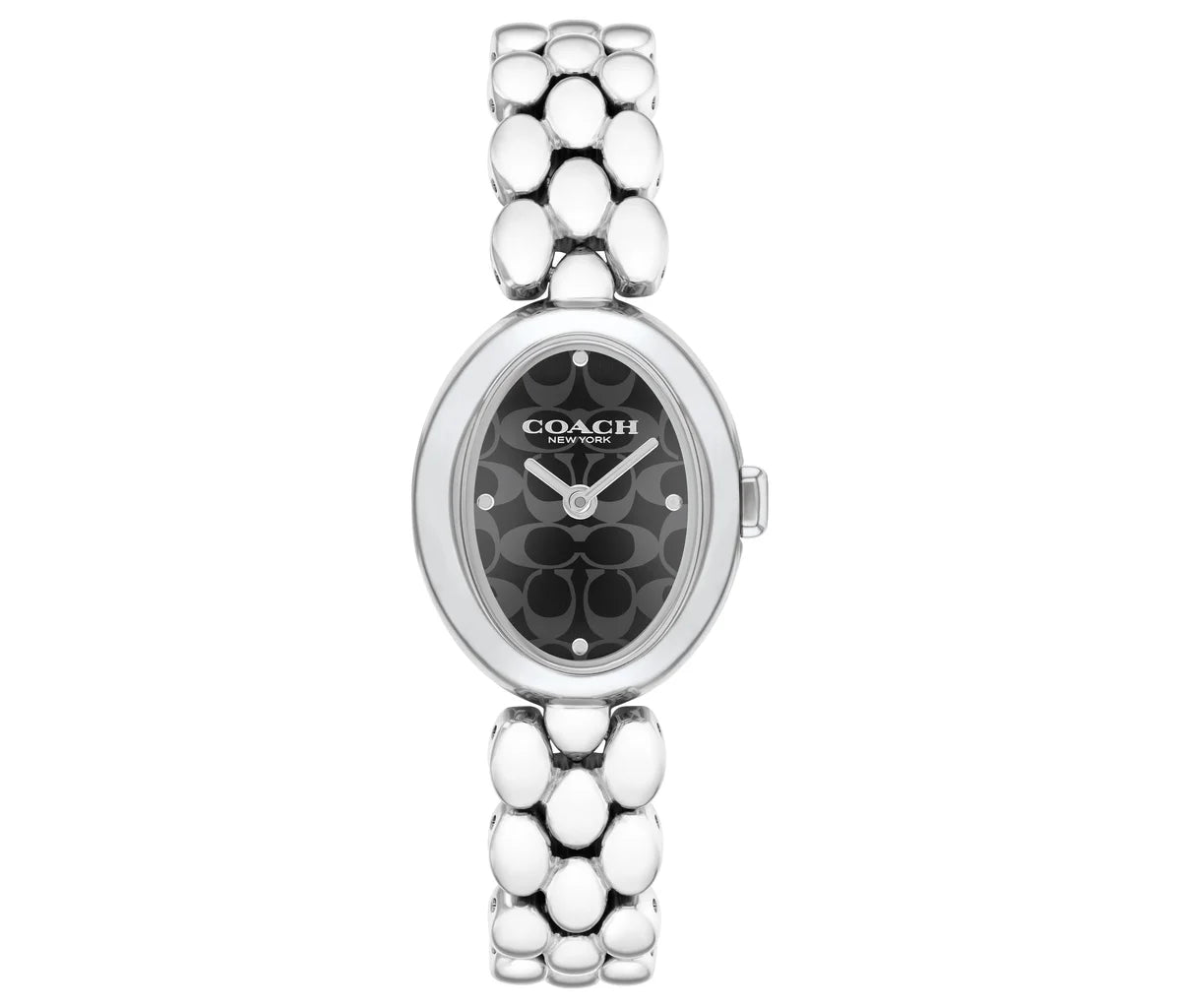 Stainless Steel Case & 3 link Bracelet/Black Sig C Dial