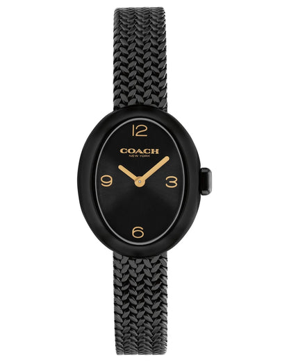 Black IP Case & mesh Bracelet/Black Dial