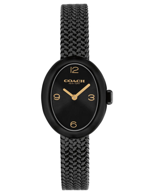 Black IP Case & mesh Bracelet/Black Dial