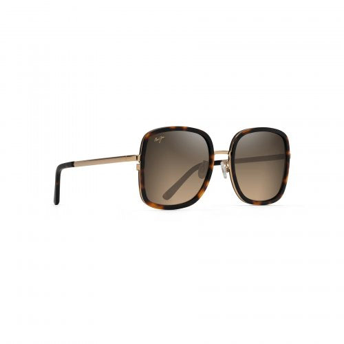 Black Tortoise/Gold/HCL Bronze