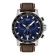 Stainless Steel/Blue/Brown