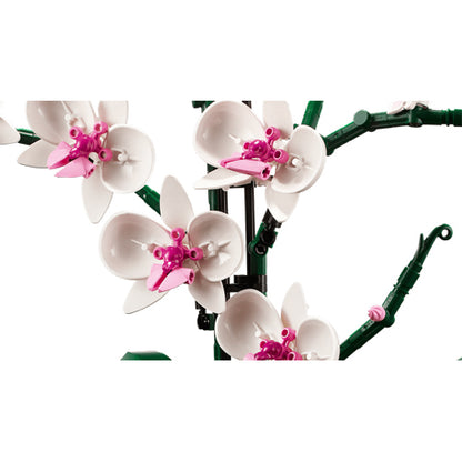 alt image