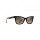 Dark Havana/HCL Bronze