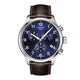 Stainless Steel/Blue/Brown