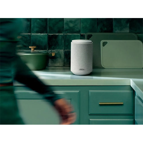 Bose Lifestyle Ultra Speaker