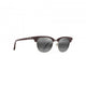 Shiny Solid Brown/Neutral Grey