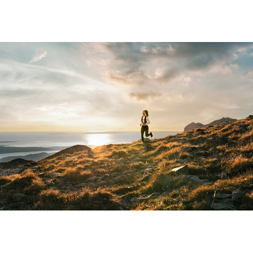 alt image