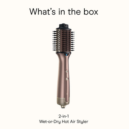 Conair 2-in-1 Wet-to-Dry Hot Air Styler