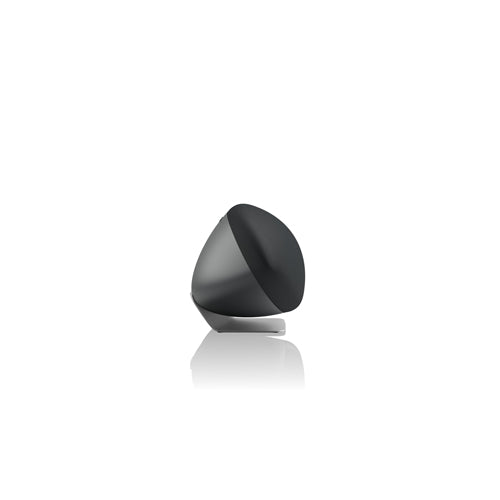 Bowers & Wilkins Zeppelin Pro Edition