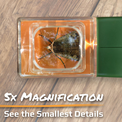 Carson Optical BugView Bug Catcher