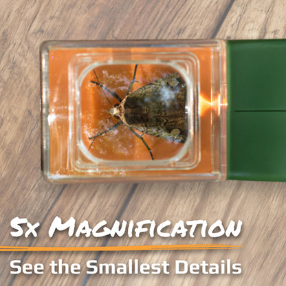 Carson Optical BugView Bug Catcher