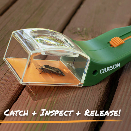 Carson Optical BugView Bug Catcher
