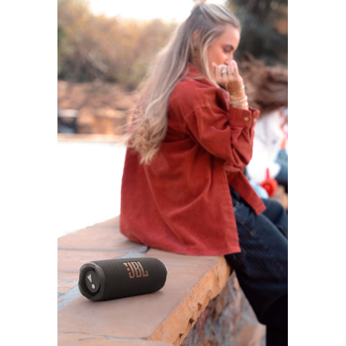 JBL Flip 7
