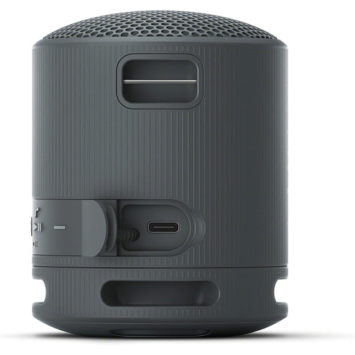 Sony XB100 Portable Wireless Speaker
