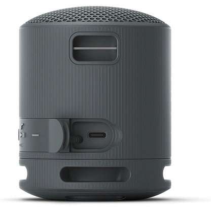 Sony XB100 Portable Wireless Speaker