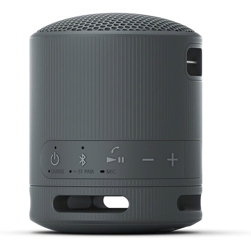 Sony XB100 Portable Wireless Speaker
