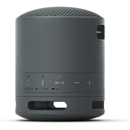 Sony XB100 Portable Wireless Speaker