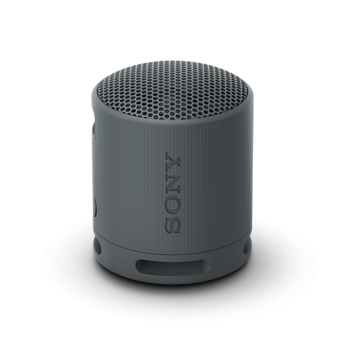 Sony XB100 Portable Wireless Speaker