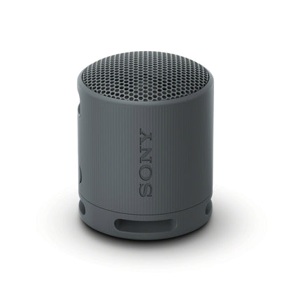 Sony XB100 Portable Wireless Speaker