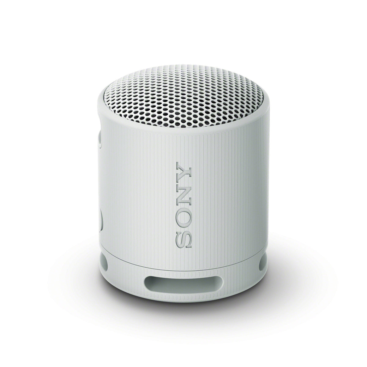 Sony XB100 Portable Wireless Speaker