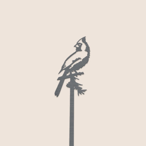 alt image