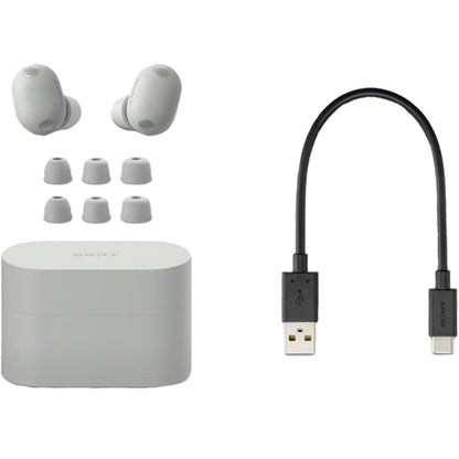 Sony WF-1000XM6 Wireless Noise Cancelling Headphones