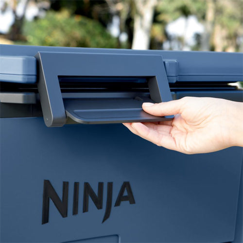 alt image