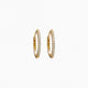 Gold Vermeil (Sterling silver base with thick 14K gold plating)