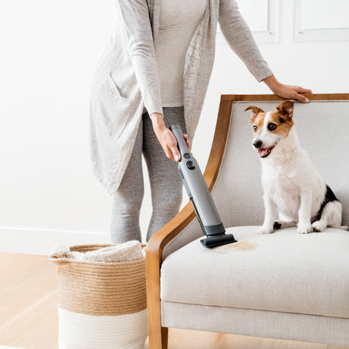 alt image